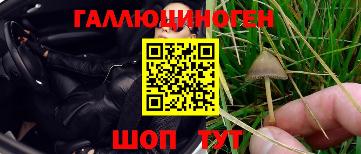 Галлюциногенные грибы прущие грибы  Галлюциногенные грибы MAGIC MUSHROOMS  Вход с VPN  Мариинск 